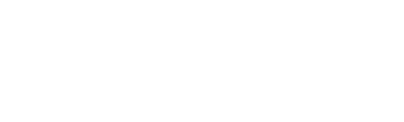 Wizyble